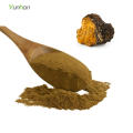 Polysaccharide 50% Siberian Organic Chaga Mushroom Extract Powder Chaga Extract